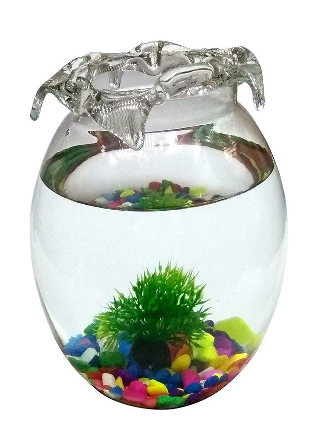 ABG Round Glass Terrarium/Aquarium Vessel. ONE Unit with Colorful Stones, ONE Artificial Plant and Two Artificial Fish.8 INCH - Image 1
